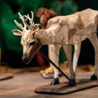 Spécimen (c) Ariane Catton