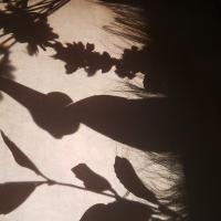 Printemps Lutin